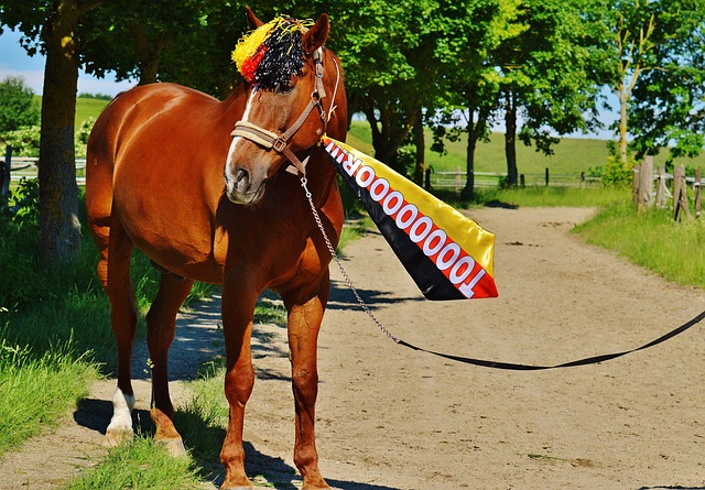 在湖人队对 在湖人队对