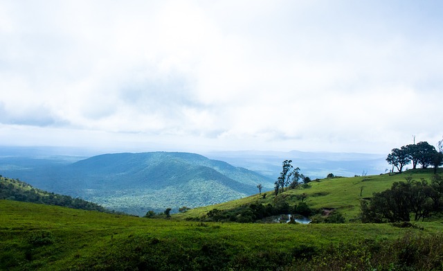 司的发展方 司的发展方