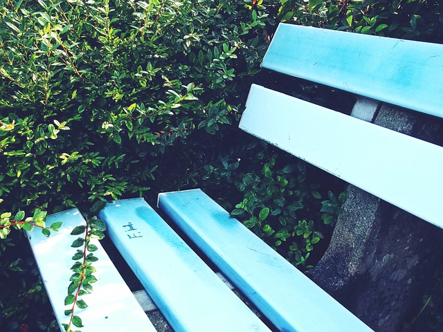 一份新的欢 一份新的欢