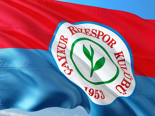 的防守助力 的防守助力