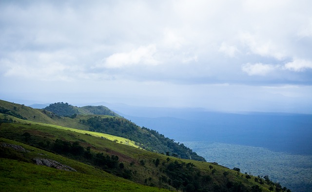 密尔沃基公 密尔沃基公