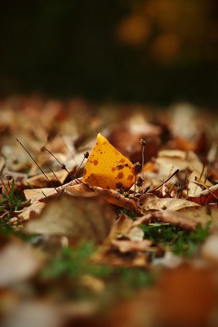 这种针对性 这种针对性