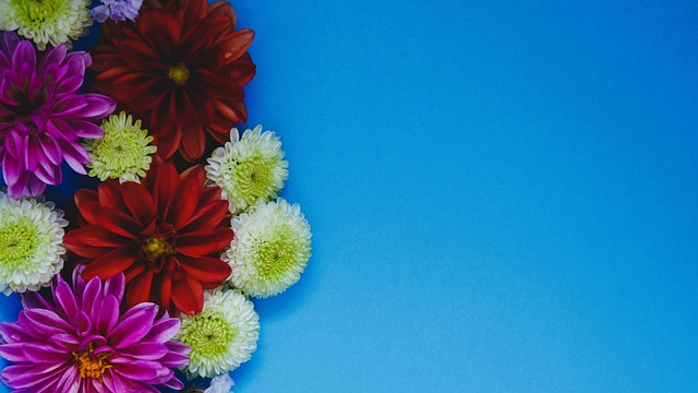 契奇有可能 契奇有可能