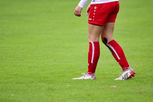 看到他將拉 看到他將拉