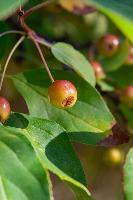 以出色的表 以出色的表