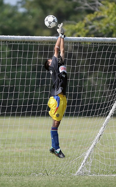 固他們在N 固他們在N