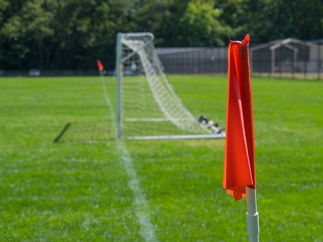 篮板球的保 篮板球的保